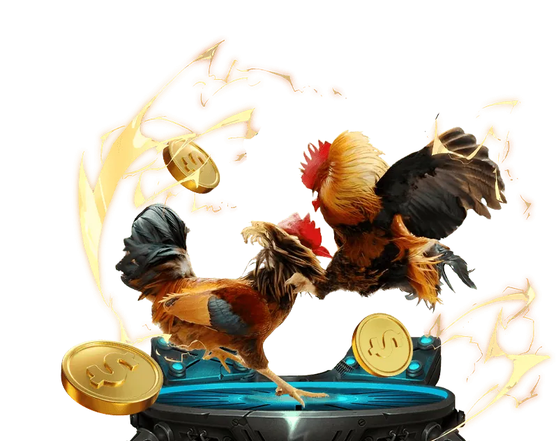 Quyền và trách nhiệm của nền tảng VN123 Club