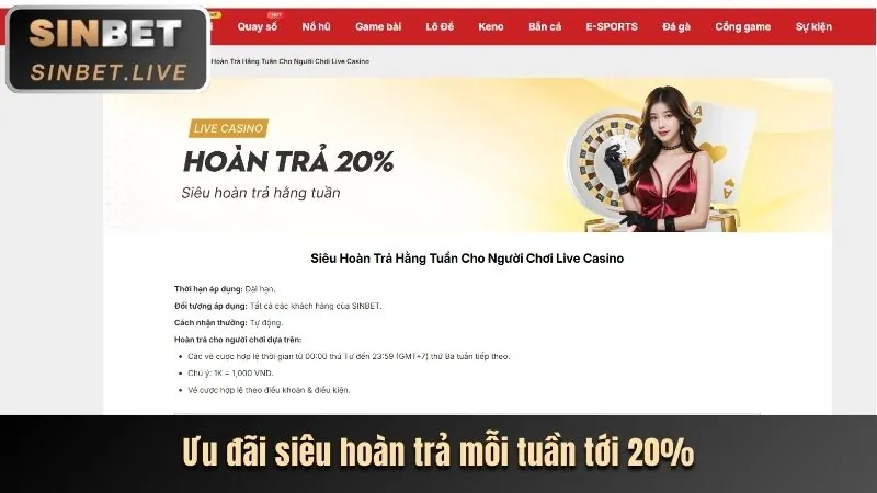 Tổng quan về nền tảng VN123 Club