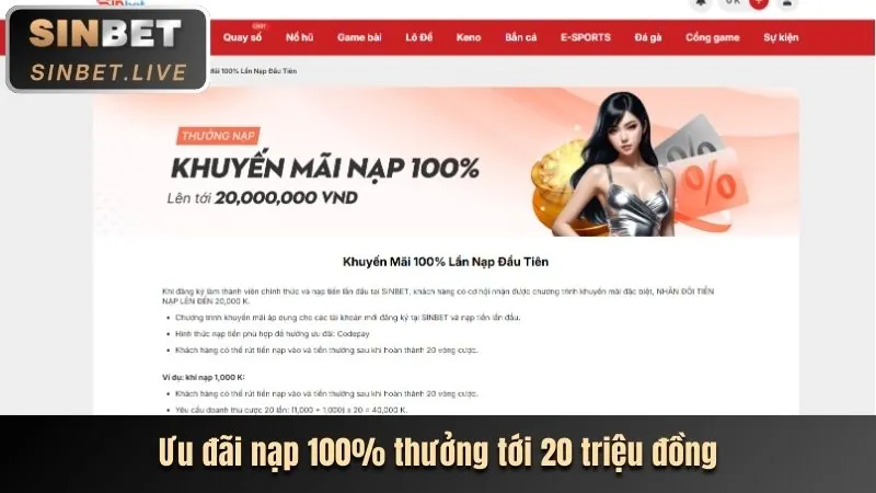 Cá cược thể thao VIP